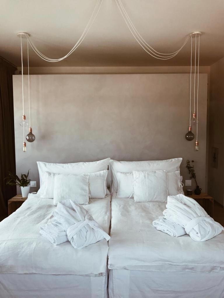 Avliving Loft Basilea
